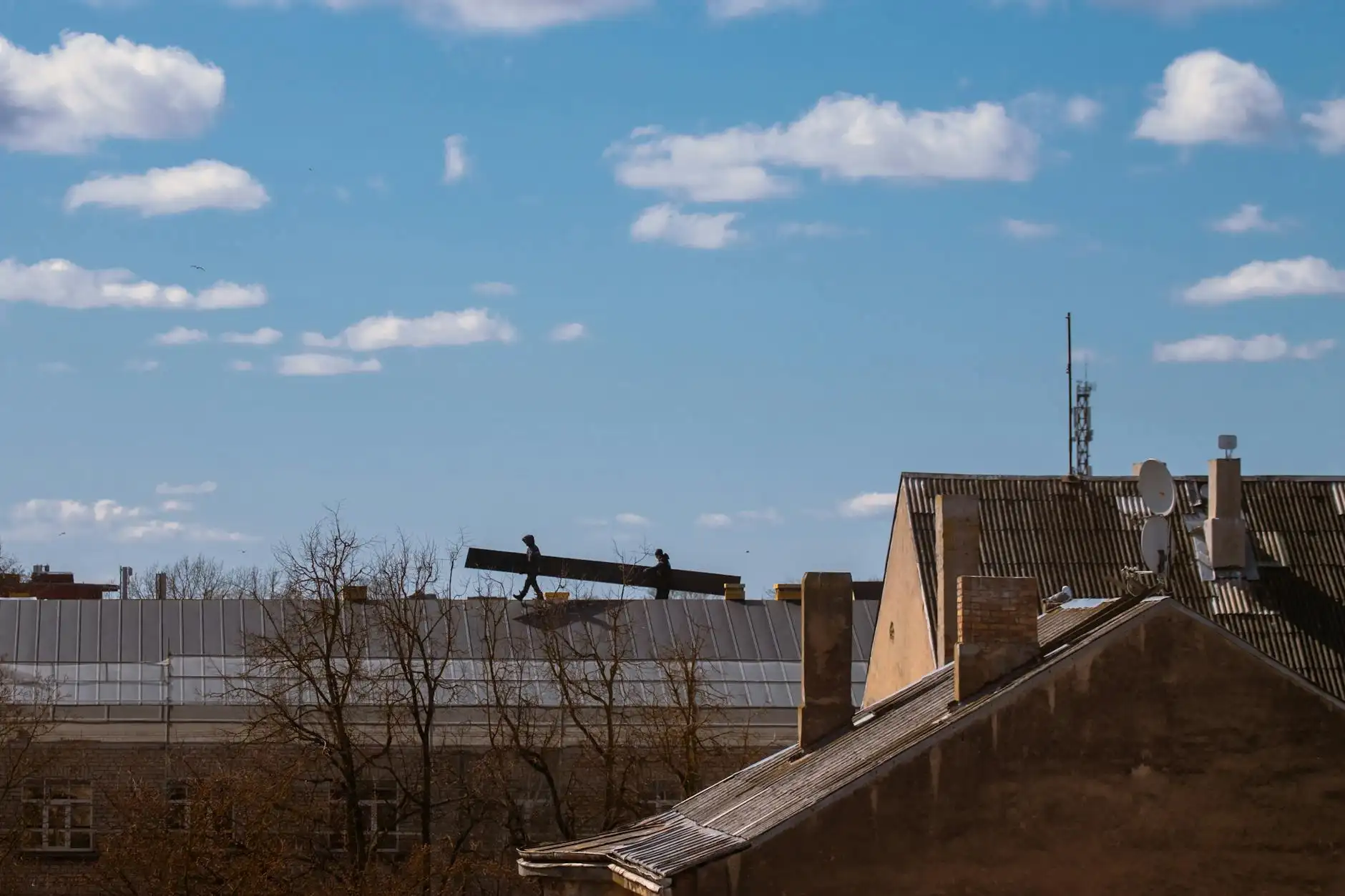 Daniel Brown Portfolio 6